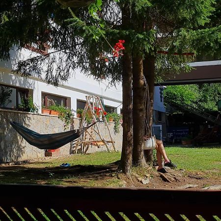 Hotel Randunica Văliug Esterno foto