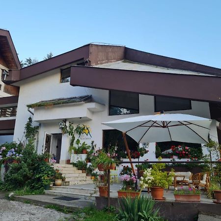 Hotel Randunica Văliug Esterno foto