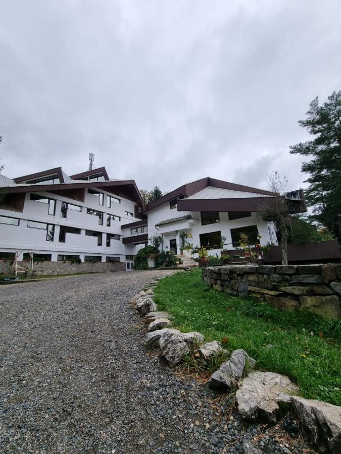 Hotel Randunica Văliug Esterno foto