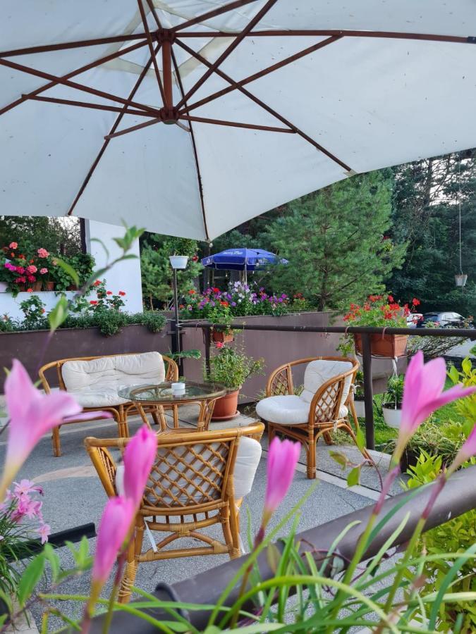 Hotel Randunica Văliug Esterno foto