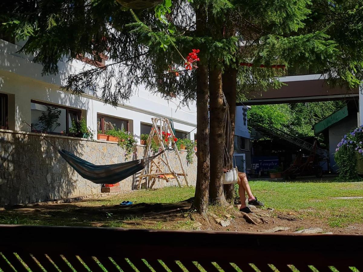 Hotel Randunica Văliug Esterno foto