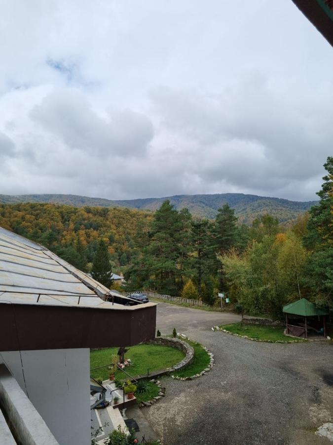 Hotel Randunica Văliug Esterno foto